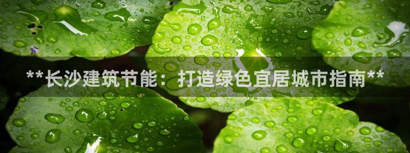 E尊国际网站：**长沙建筑节能：打造绿色宜居城市指南**