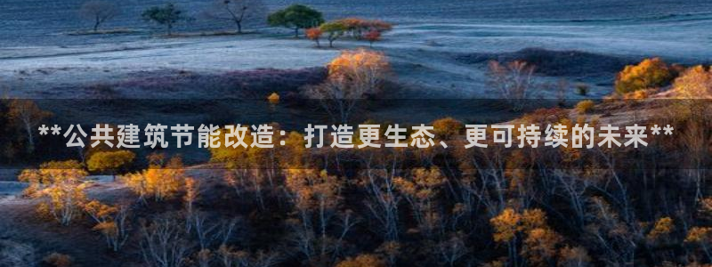 e尊国际是个黑网：**公共建筑节能改造：打造更生态、更可持续的未来**