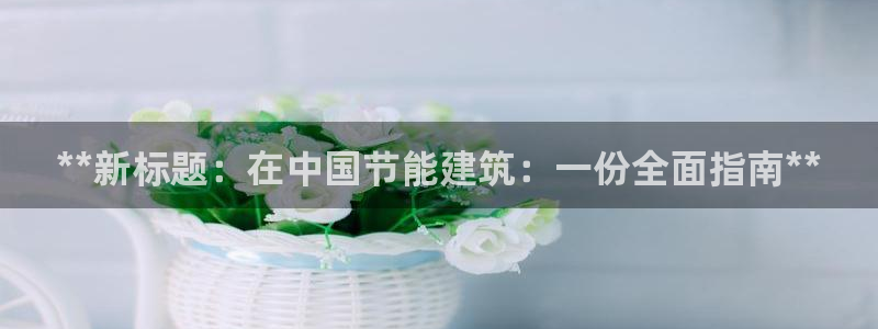 e尊国际是干什么的：**新标题：在中国节能建筑：一份全面指南**