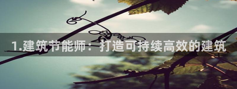 尊亿游戏国际官网：1.建筑节能师：打造可持续高效的建筑