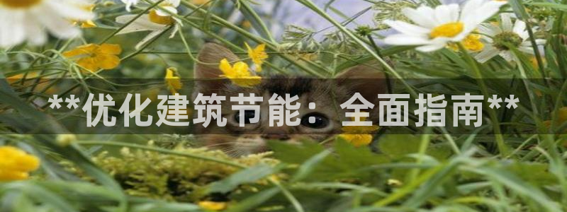 E尊国际网站：**优化建筑节能：全面指南**