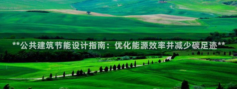 e尊国际平台：**公共建筑节能设计指南：优化能源效率并减少碳足迹**