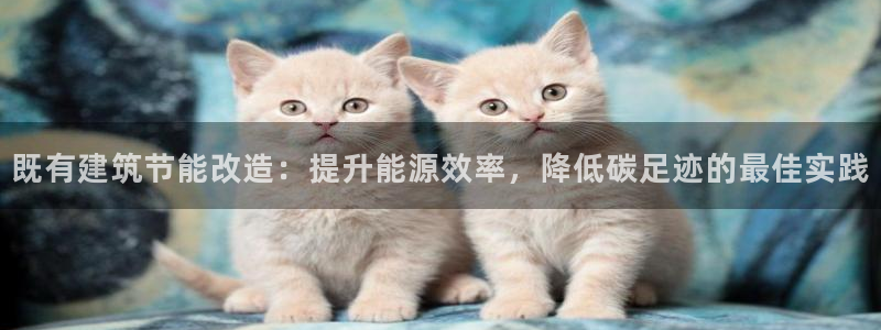 e尊平台：既有建筑节能改造：提升能源效率，降低碳足迹的最佳实践