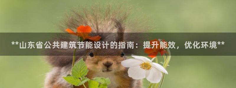 e尊国际网址：**山东省公共建筑节能设计的指南：提升能效，优化环境**