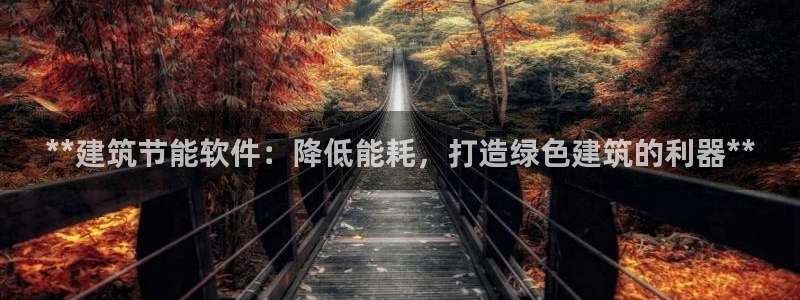 E尊国际：**建筑节能软件：降低能耗，打造绿色建筑的利器**