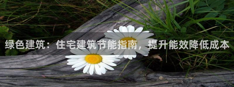 e尊国际-e尊国际官网：绿色建筑：住宅建筑节能指南，提升能效降低成本