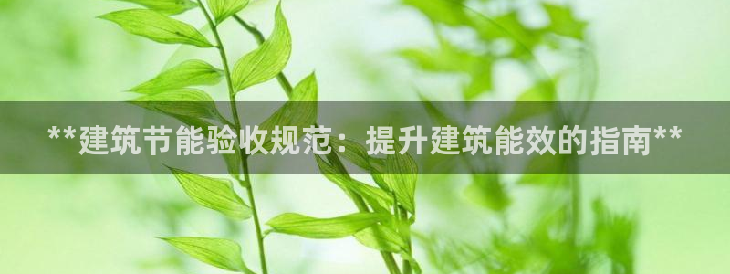 尊亿游戏国际官网：**建筑节能验收规范：提升建筑能效的指南**