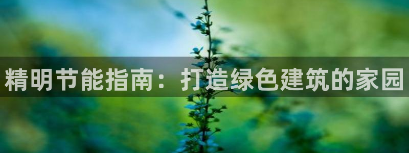e尊平台：精明节能指南：打造绿色建筑的家园