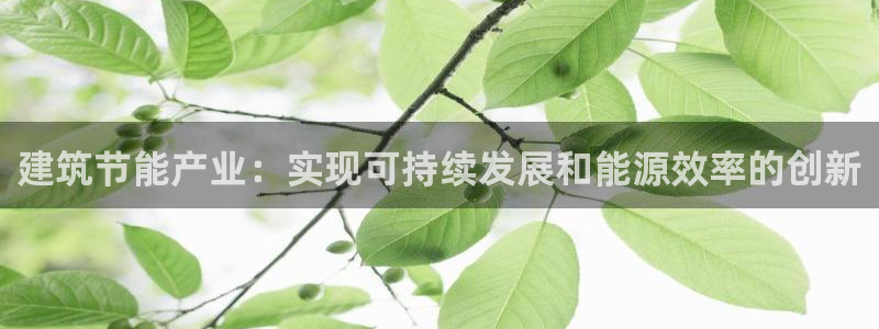 e尊国际可靠吗：建筑节能产业：实现可持续发展和能源效率的创新