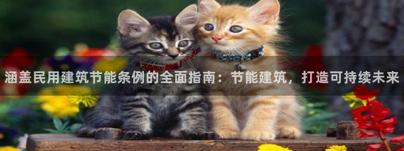 e尊国际7779：涵盖民用建筑节能条例的全面指南：节能建筑，打造可持续未来
