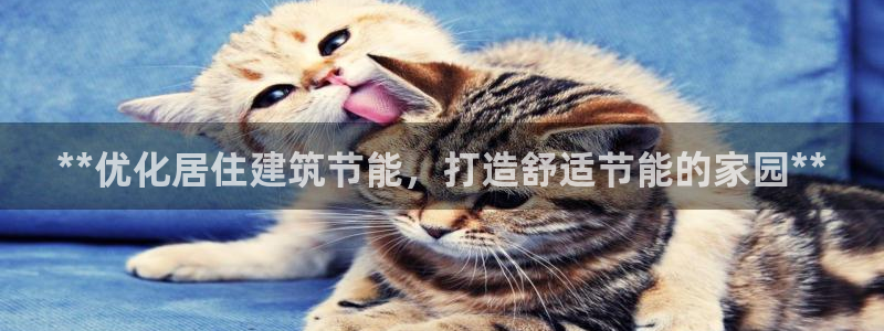 e尊国际官网：**优化居住建筑节能，打造舒适节能的家园**