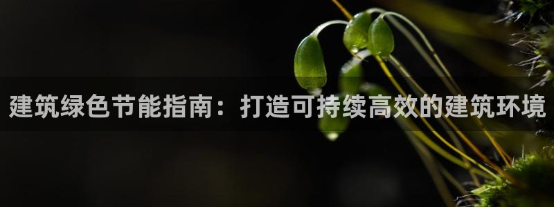 E尊国际网站：建筑绿色节能指南：打造可持续高效的建筑环境