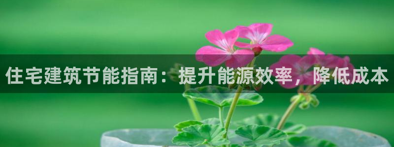 e尊国际官网app：住宅建筑节能指南：提升能源效率，降低成本