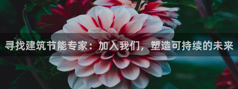 E尊国际：寻找建筑节能专家：加入我们，塑造可持续的未来