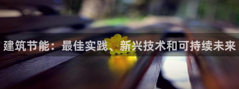 E尊国际：建筑节能：最佳实践、新兴技术和可持续未来