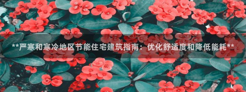 E尊国际：**严寒和寒冷地区节能住宅建筑指南：优化舒适度和降低能耗**