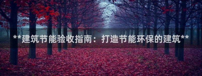 e尊国际客服：**建筑节能验收指南：打造节能环保的建筑**