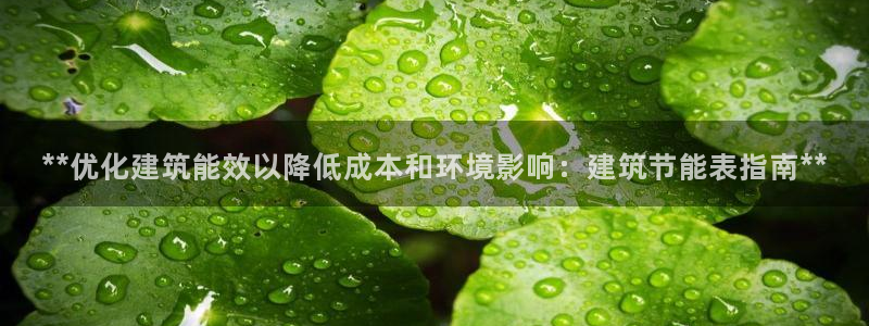 e尊国际娱乐官网下载：**优化建筑能效以降低成本和环境影响：建筑节能表指南**