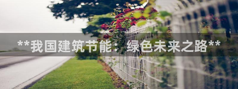 e尊国际客户端下载：**我国建筑节能：绿色未来之路**