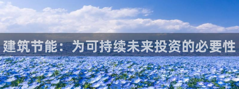 E尊国际网站：建筑节能：为可持续未来投资的必要性