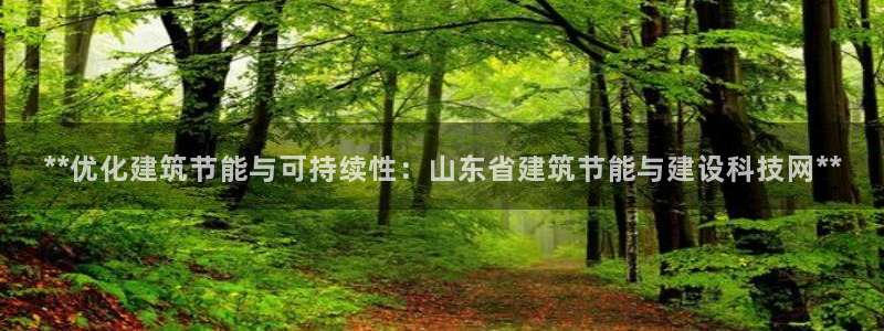 e尊国际-可可计划：**优化建筑节能与可持续性：山东省建筑节能与建设科技网**