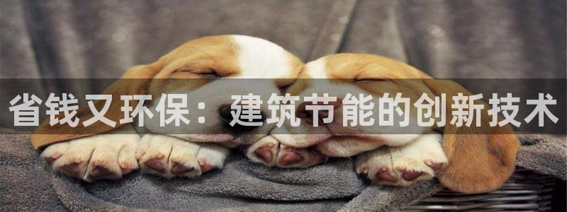 e尊国际官方网站：省钱又环保：建筑节能的创新技术