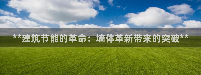 e尊国际娱乐官网下载：**建筑节能的革命：墙体革新带来的突破**