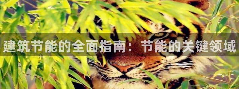 e尊国际官网