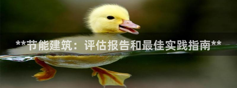 e尊国际-可可计划：**节能建筑：评估报告和最佳实践指南**