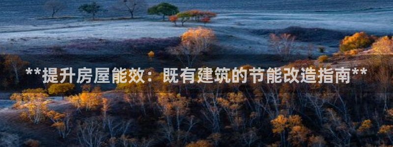 e尊国际是个黑网：**提升房屋能效：既有建筑的节能改造指南**