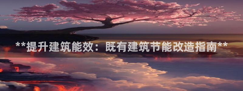 谁知道e尊国际的网址：**提升建筑能效：既有建筑节能改造指南**