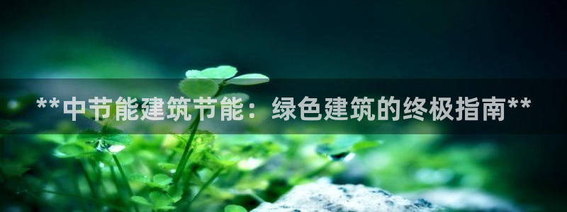 e尊国际官方网站：**中节能建筑节能：绿色建筑的终极指南**