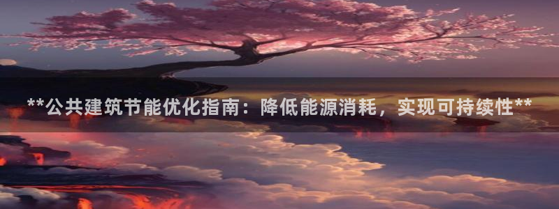 e尊国际app：**公共建筑节能优化指南：降低能源消耗，实现可持续性**