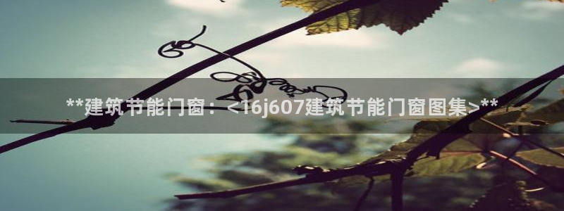 E尊国际网站：**建筑节能门窗：<16j607建筑节能门窗图集>**