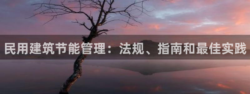 e尊国际平台：民用建筑节能管理：法规、指南和最佳实践