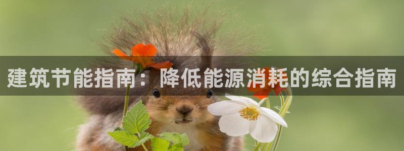 E尊国际：建筑节能指南：降低能源消耗的综合指南