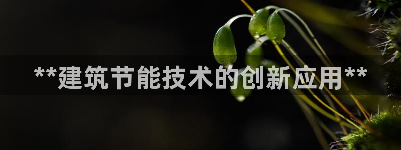 尊亿游戏国际官网：**建筑节能技术的创新应用**