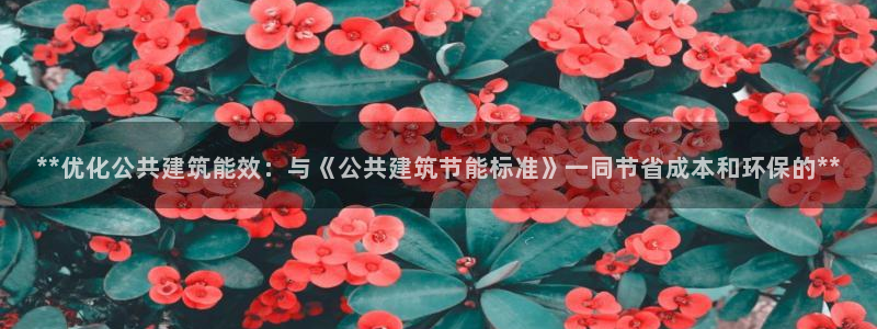 尊亿娱乐国际官网：**优化公共建筑能效：与《公共建筑节能标准》一同节省成本和环保的**