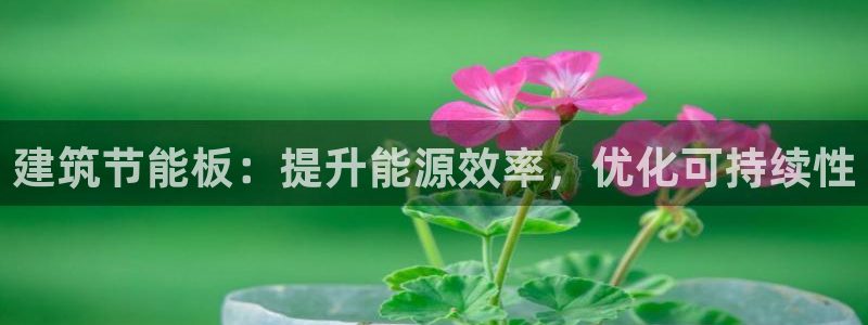 e尊体育：建筑节能板：提升能源效率，优化可持续性