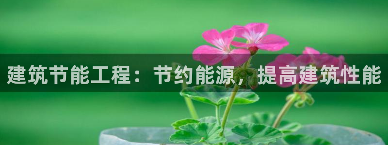 e尊国际是干什么的：建筑节能工程：节约能源，提高建筑性能