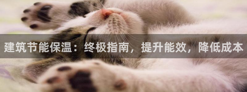 e尊国际-可可计划：建筑节能保温：终极指南，提升能效，降低成本