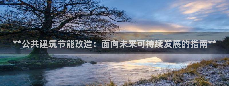 e尊国际客服：**公共建筑节能改造：面向未来可持续发展的指南**