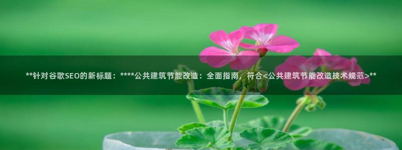 E尊国际网站：**针对谷歌SEO的新标题：****公共建筑节能改造：全面指南，符合<公共建筑节能改造技术规范>**
