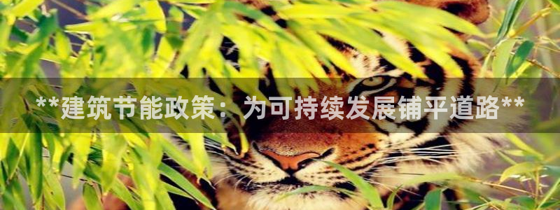e尊官网：**建筑节能政策：为可持续发展铺平道路**