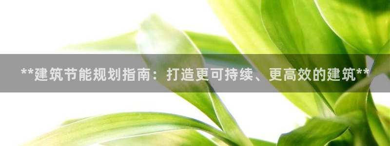e尊体育：**建筑节能规划指南：打造更可持续、更高效的建筑**