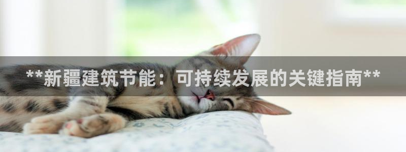 e尊国际-e尊国际官网：**新疆建筑节能：可持续发展的关键指南**