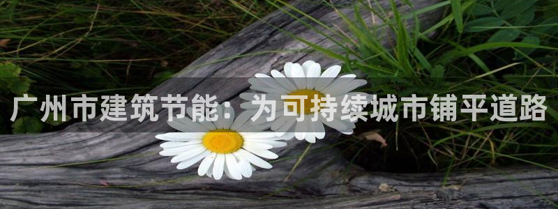 e尊国际平台：广州市建筑节能：为可持续城市铺平道路