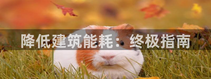 尊亿游戏国际官网：降低建筑能耗：终极指南