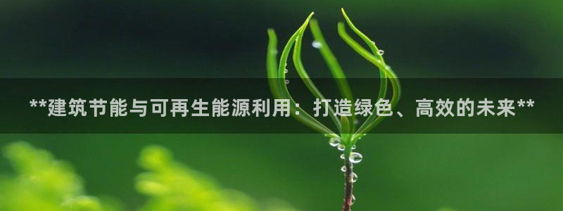 e尊国际的手机登录网站：**建筑节能与可再生能源利用：打造绿色、高效的未来**
