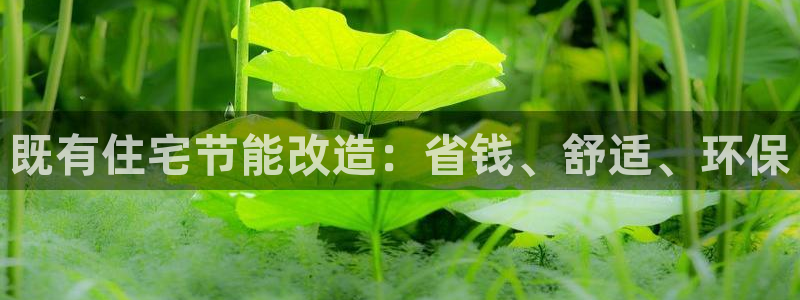 e尊国际官网：既有住宅节能改造：省钱、舒适、环保